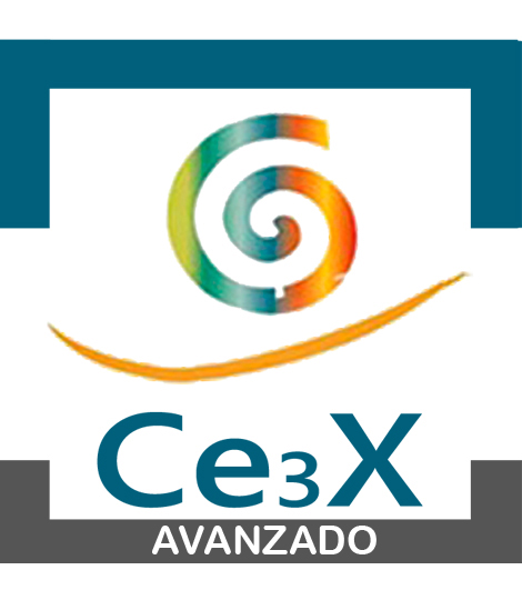 CE3X-AVANZADO